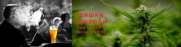 ECSTASY Алзамай