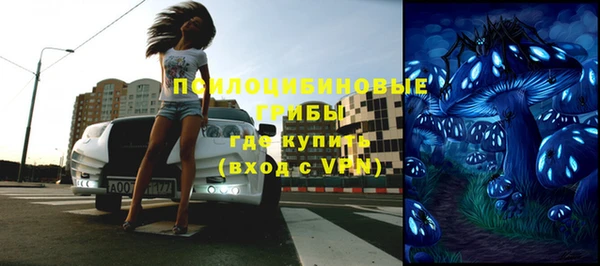 ECSTASY Алзамай
