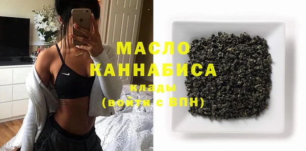 ECSTASY Алзамай