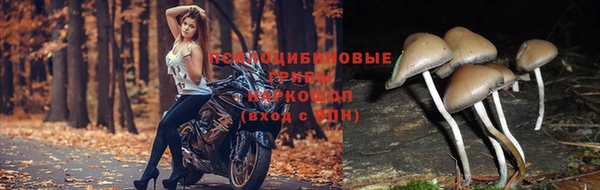 ALPHA-PVP Алексеевка