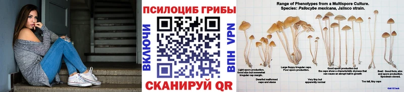 Псилоцибиновые грибы Psilocybe kraken онион Кемь